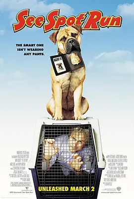 美少妇av