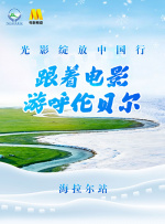 国产aav