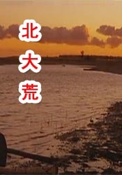 性生活三级视频