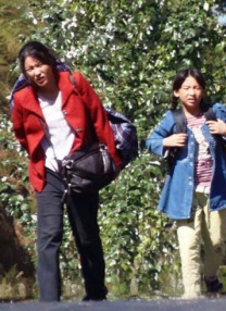 青青操在线视频
