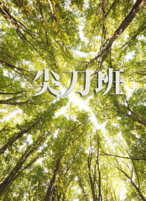 岛国成人在线