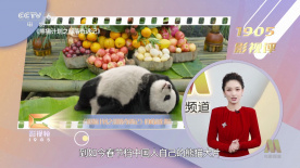 精品麻豆国产